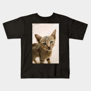 Tabby Kitten Kids T-Shirt